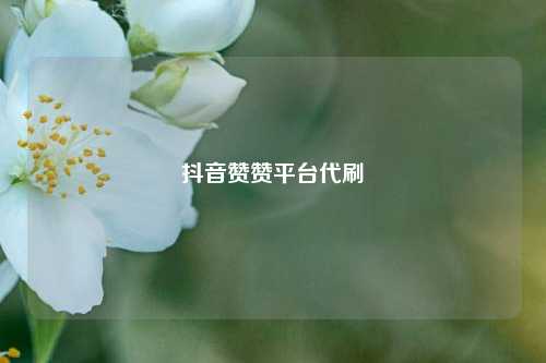 抖音赞赞平台代刷