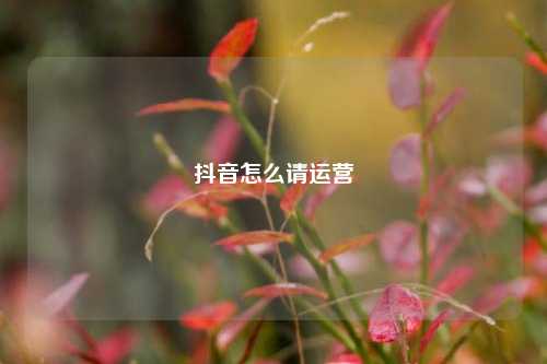 抖音怎么请运营
