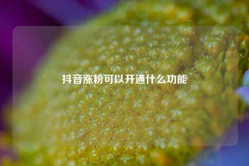 抖音涨粉可以开通什么功能