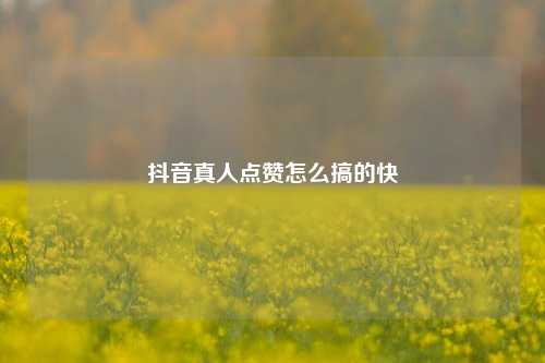 抖音真人点赞怎么搞的快