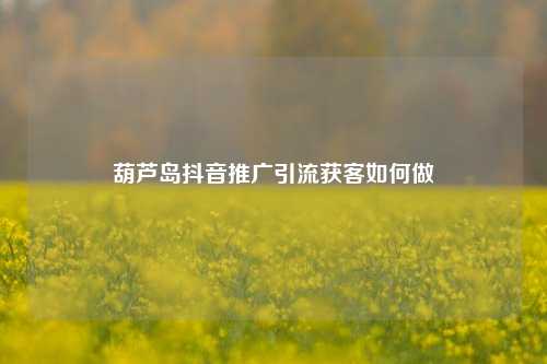 葫芦岛抖音推广引流获客如何做