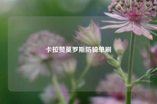 卡拉赞莫罗斯防骑单刷