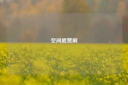 空间底赞刷