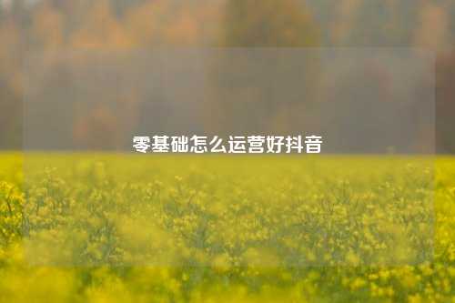 零基础怎么运营好抖音