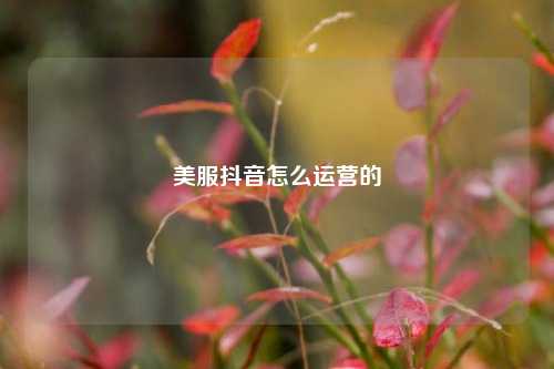 美服抖音怎么运营的