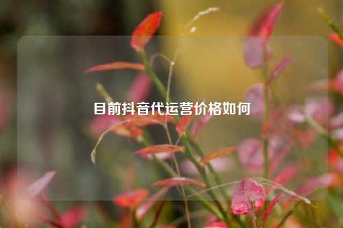 目前抖音代运营价格如何