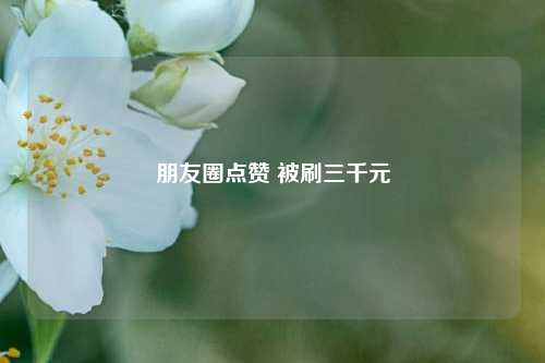 朋友圈点赞 被刷三千元