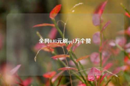 全网0.01元刷qq1万个赞