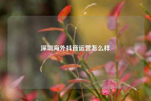深圳海外抖音运营怎么样