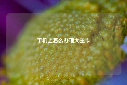 手机上怎么办理大王卡