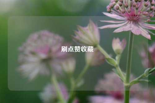 刷点赞收藏