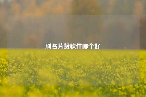 刷名片赞软件哪个好
