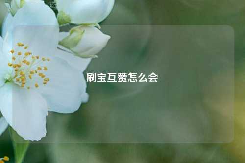 刷宝互赞怎么会