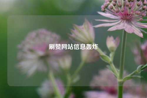 刷赞网站信息轰炸