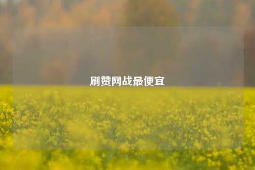 刷赞网战最便宜